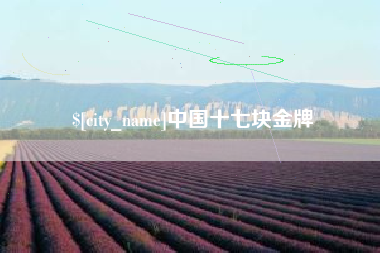 百色中国十七块金牌