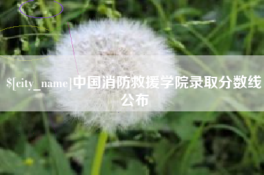 百色中国消防救援学院录取分数线公布