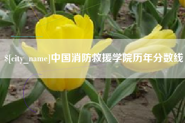 百色中国消防救援学院历年分数线