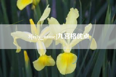 百色九宫格优点