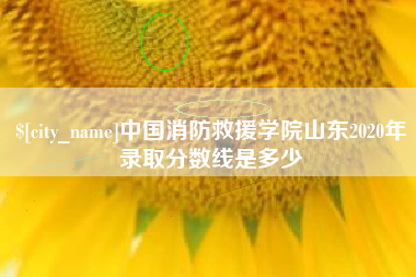 百色中国消防救援学院山东2020年录取分数线是多少