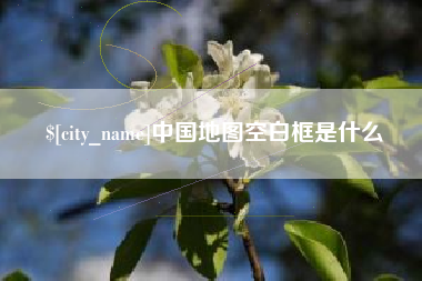 百色中国地图空白框是什么