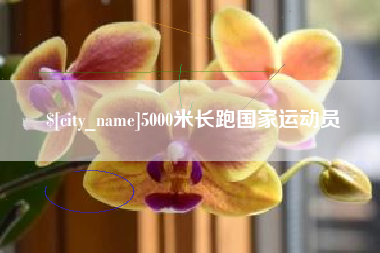 百色5000米长跑国家运动员
