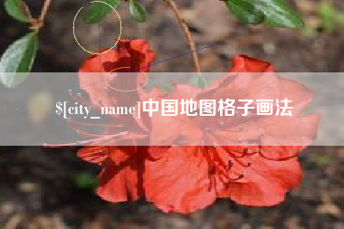 百色中国地图格子画法