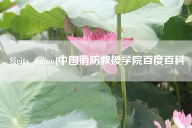 百色中国消防救援学院百度百科