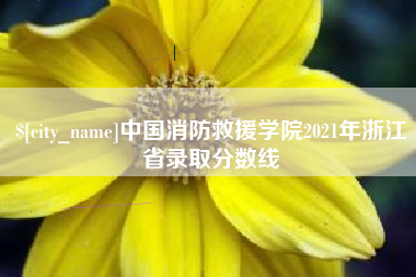 百色中国消防救援学院2021年浙江省录取分数线