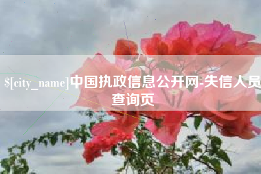 百色中国执政信息公开网-失信人员查询页
