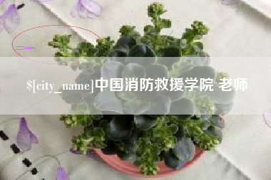 百色中国消防救援学院 老师