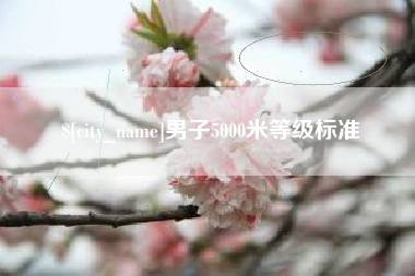 百色男子5000米等级标准