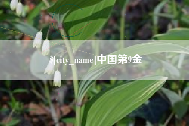 百色中国第9金