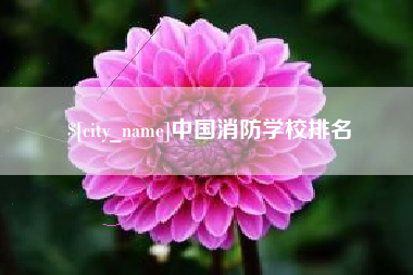 百色中国消防学校排名