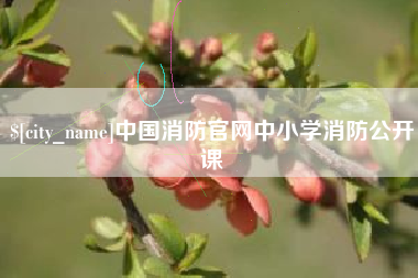 百色中国消防官网中小学消防公开课