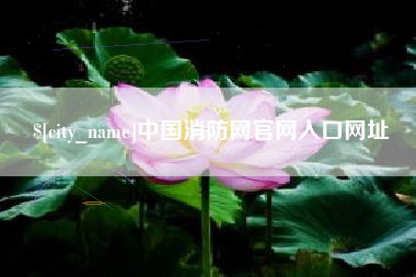 百色中国消防网官网入口网址