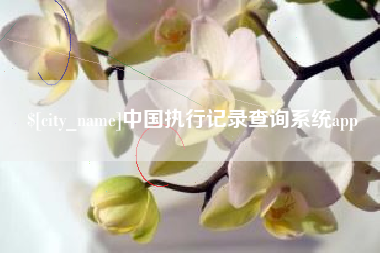 百色中国执行记录查询系统app