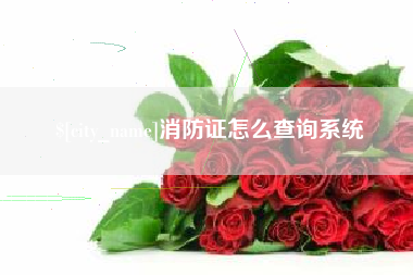 百色消防证怎么查询系统