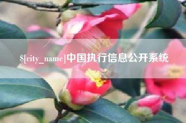 百色中国执行信息公开系统