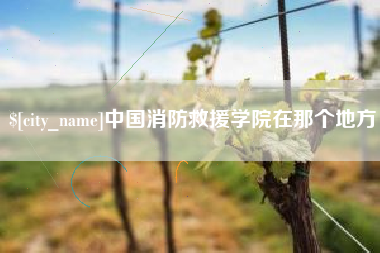 百色中国消防救援学院在那个地方