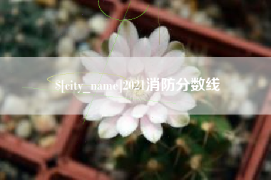 百色2021消防分数线