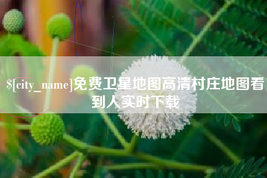 百色免费卫星地图高清村庄地图看到人实时下载