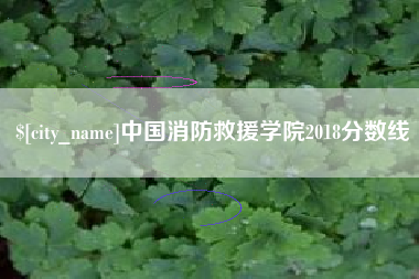 百色中国消防救援学院2018分数线