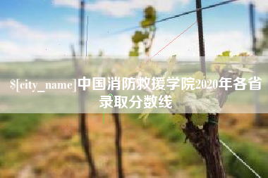 百色中国消防救援学院2020年各省录取分数线