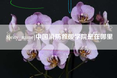 百色中国消防救援学院是在哪里