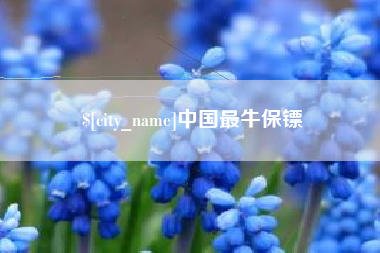 百色中国最牛保镖