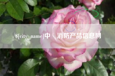 百色中囯消防产品信息网