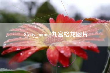 百色九宫格龙图片