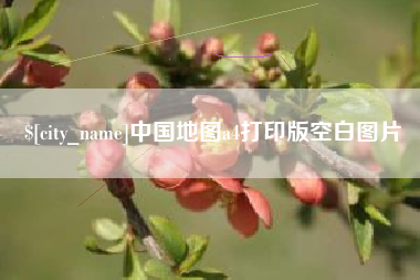 百色中国地图a4打印版空白图片