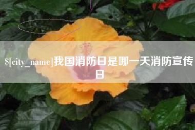 百色我国消防日是哪一天消防宣传日