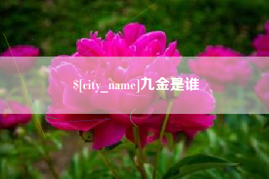 百色九金是谁