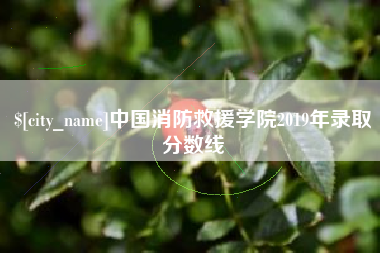 百色中国消防救援学院2019年录取分数线