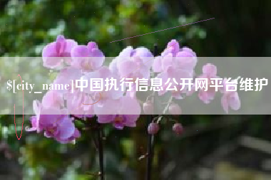 百色中国执行信息公开网平台维护