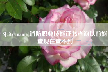 百色消防职业技能证书查询以前能查现在查不到