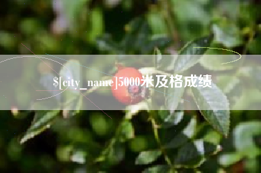 百色5000米及格成绩