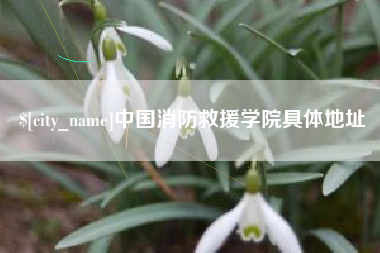 百色中国消防救援学院具体地址