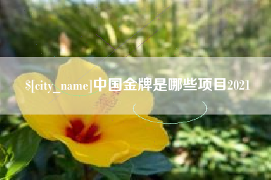 百色中国金牌是哪些项目2021