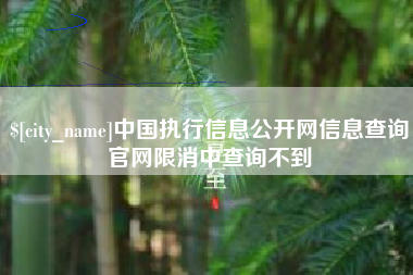 百色中国执行信息公开网信息查询官网限消中查询不到