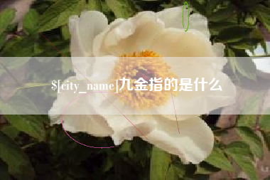 百色九金指的是什么