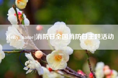 百色消防日全国消防日主题活动