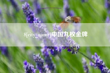 百色中国九枚金牌