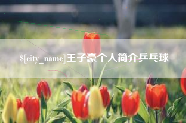百色王子豪个人简介乒乓球