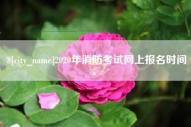 百色2020年消防考试网上报名时间