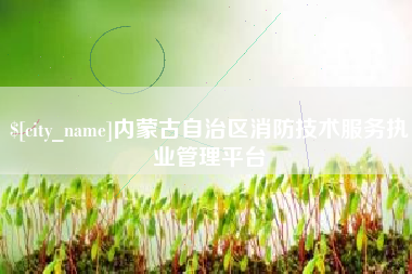 百色内蒙古自治区消防技术服务执业管理平台