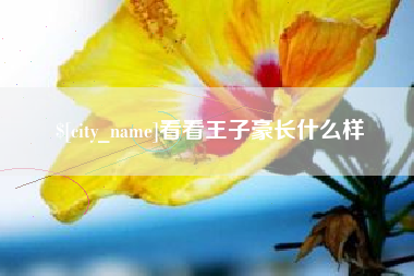 百色看看王子豪长什么样