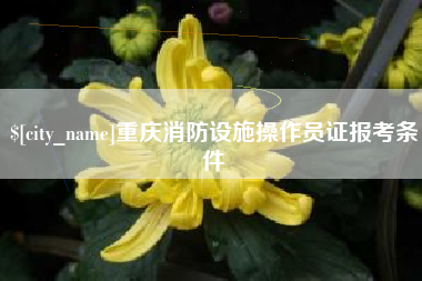 百色重庆消防设施操作员证报考条件