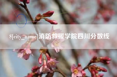 百色消防救援学院四川分数线