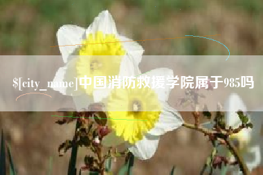 百色中国消防救援学院属于985吗