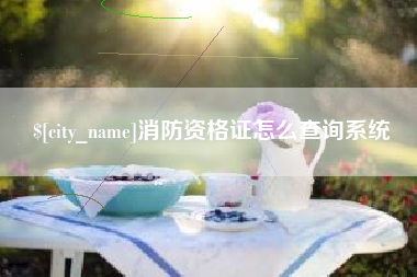 百色消防资格证怎么查询系统